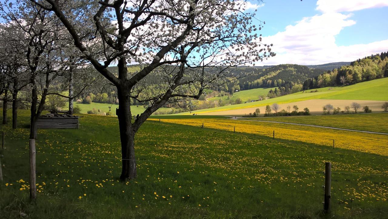 Ferienwohnungen Weissflog ชวาร์เซนเบิร์ก ภายนอก รูปภาพ